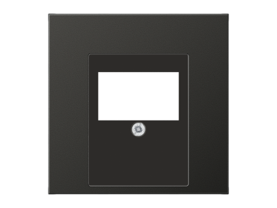 pim-159545 JUNG AL 2969 TAN USB PESA KESKPLAAT ANTRATSIIT