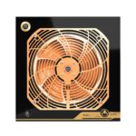 WOKS 250 GOLD BLDC N.TESLA kahesuunaline