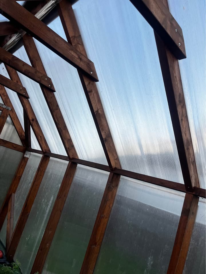 gh real frame detail